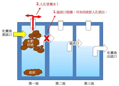 化糞池在哪|【實用家居】老屋抽水肥 化糞池位置這樣找 